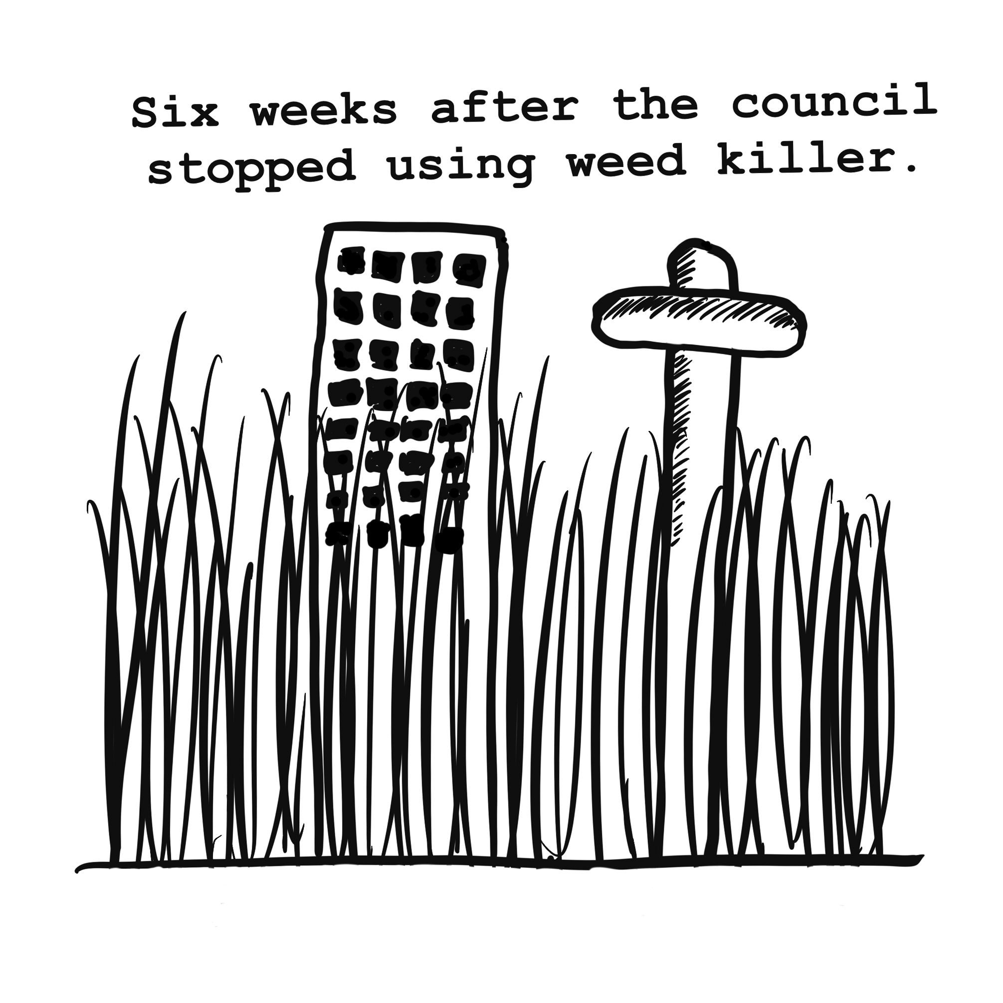A cartoon of tall weeds growing in Brighton.